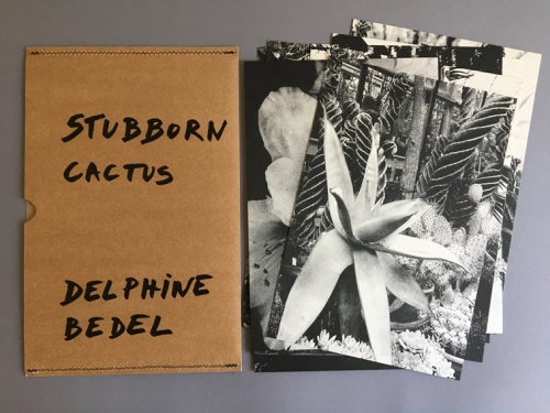 delphine bedel, stubborn cactus